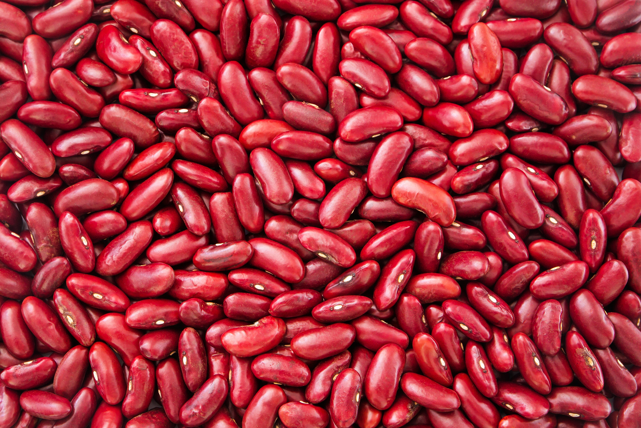 Red Kideny Beans